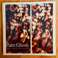 Wide Awake and Waiting by Palm Ghosts