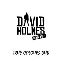 True Colours - Single by David Holmes Rebel Poet