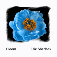 Bloom - Single by Eric Sherlock