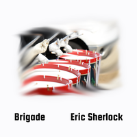 Brigade by Eric Sherlock