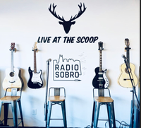 MT Solo Acoustic - Livestream at The Scoop