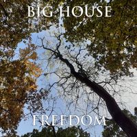 Freedom by Big House