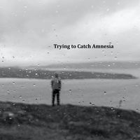 Trying to Catch Amnesia by Ron Capps