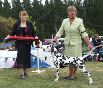 Blaze going Best Junior In Show at the 2009 Dalmatian Specialty (aged just over 12mths).
