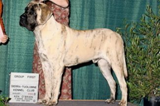 "Jimmy" 9 M.O. many thanks to judge Pat Hastings
