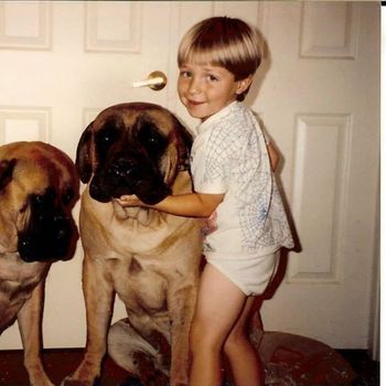 Brandon - my first mastiff, where it all started
