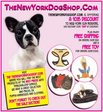 The New York Dog Shop
