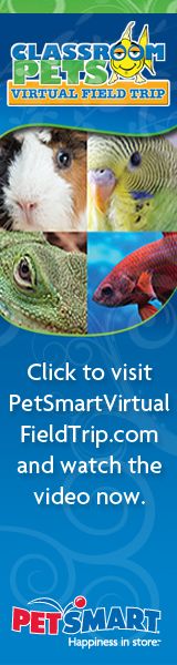 Petsmart Digital Banner Ad
