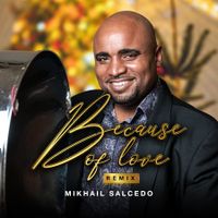 Because of Love remix (Steelpan Instrumental) by Mikhail Salcedo