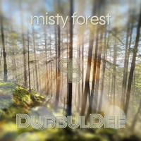 Misty Forest by DubbulDee