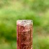 Rubellite Tourmaline 