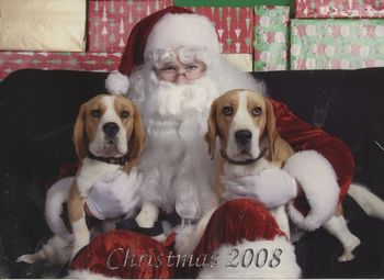 Kappie & Ollie visit Santa
