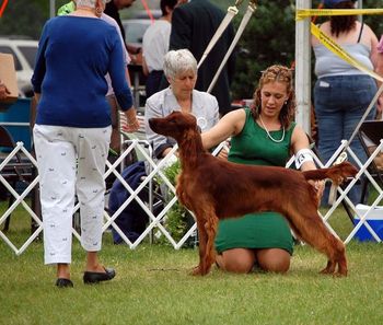 "Kibby" Galewinns Grace & Glory at Huntersglen Owners: Kim & Tim Kleinschmidt & Ginny Swanson Sheboygan, WI Kibby is shown going Best Puppy at the Irish Setter National in Waukesha, WI. He also went Best In Sweeps and was considered for Winners Dog!! June 2010

