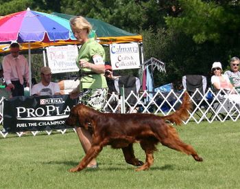 Bode showing in the 12-18 month class at the National. He went 3rd!! June 2010
