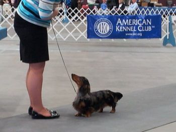 Willy in the ring with Shea at 8 months old.
