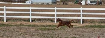 Bode runnin' laps - this is what he likes to do best!! April 2011
