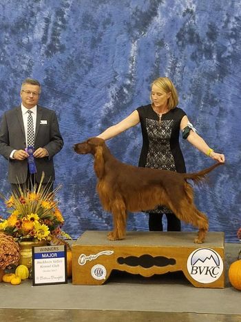Deni wins her first major. This is her second weekend back in the ring after having her litter.  Oct. 2017
