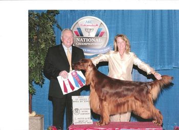 Bravo winning BOS & Best Bred-By at Eukanuba in Dec. 2008 - I thought it was kind of fun to see how he has matured since his Eukanuba picture in 2007. Pictured at 2-1/2 yrs old.
