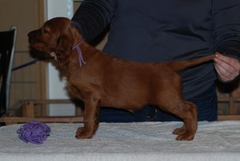 Purple girl at 6 weeks.
