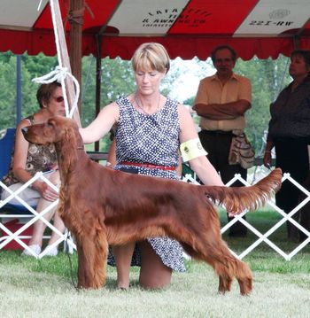 PJ being shown in Milwaukee, Wisconsin at the specialties there.  She was BOS in sweeps and took 2 major reserves.  Not bad considering she was the youngest of 16 bitches entered!
