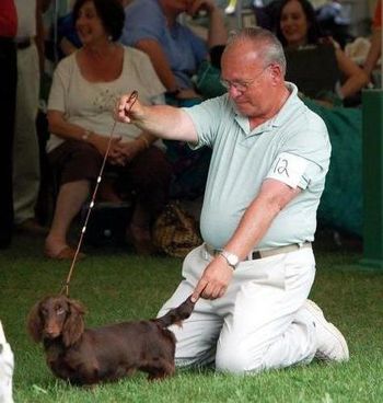 At the Irish Setter National in June 2010 there was a "for fun" competition called "Senior Handlers". Sid Marx (pictured above) wanted to participate but since he judged at the National the previous day, he did not have a dog at the show. So...he borrowed Wally. Wally was only 7 months old and had never been in the ring but his owner, Jean Galore, was a great sport about it. Wally was amazing and Sid has a great time with him. Enjoy these pictures as it was really fun to see him amongst all of the big red dogs!!
