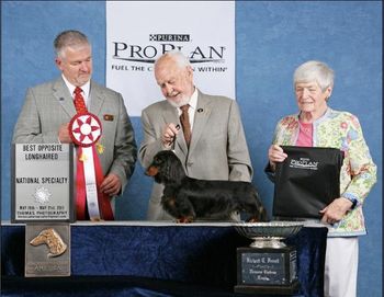 Baron's sire CH. Old Hanover's Mr. Lincoln ML won Best of Opposite at the Dachshund Club of America national!!! We are so very proud of him!! Baron says "Go Dad"!! Congrats to Karyn & Jeff Dione, Lincoln's owners! May 2011
