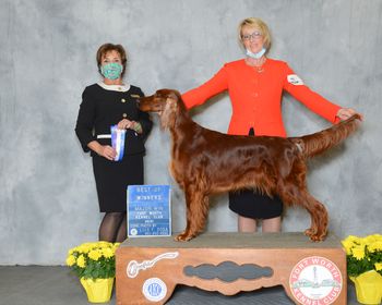 Willow winning her second major at the Fort Worth Shows in March of 2021.
