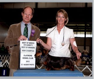 Jersey's "finishing" photo. She finished by going Best Of Breed over 5 specials!! June 2012
