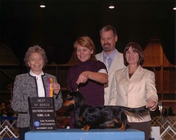 Chip wins BOV - Nov. 20008.
