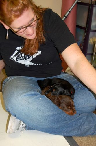 Jen at the puppy party - look how exhausted the pups were after the hard work of stacking!! lol
