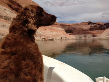 Miss Skye enjoyoing a day on Lake Powell. May 2013
