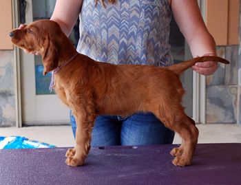 Purple girl at 8 wks.
