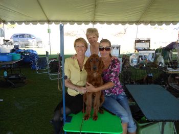 Torch (brown boy) with owner Violet Morgan, Ginny Swanson (Tramore Irish Settes) and myself. We are in Scottsdale, AZ at a show.  Torch is too young to show but he got the experience of being at the show - he handled it all beautifully! March 2014
