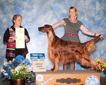 Tank wins a group 3 under j. Leah Ryan at the Terry All show in Brighton, Colorado.  April 2016
