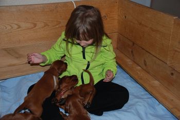 They crawled all over her - even chewed on her toes which just made her giggle...too cute!
