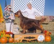 "Pierce" BIS CH. Tramore Galewinns Mak'n An Impact (CH. Galewinns Put Me In Coach x CH. Tramore Imperial Impetuous Imp) "Pierce" is a Bo son and is pictured going Best In Show in October of 2011. Pierce was Reserve Winners Dog at the Arizona National and Best Puppy at 6 mo old. Pierce was bred by Ginny Swanson and myself and is co-owned by us as well.
