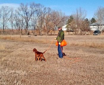 Kash on her first time out in the field. Thanks to Tom Sweezey for his help with training. Feb. 2012
