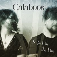 A Bird in the Fire by Calaboos