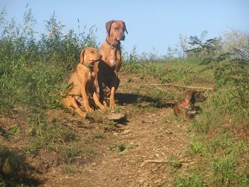 Sammi and Reggie - mother and daughter
