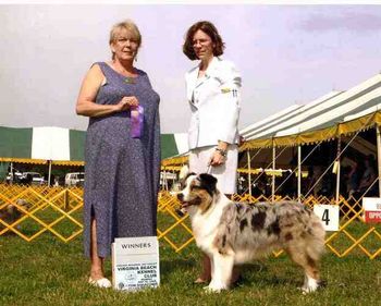 Winners dog at Virginia Beach Kennel Club, May 30, 2005, under Judge Margarget Mickelson.

