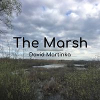 The Marsh by David Martinka