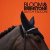 Bloom & Brimstone - Vinyl - Limited Edition: 12" Vinyl LP - Catalog # AUR-01-LE