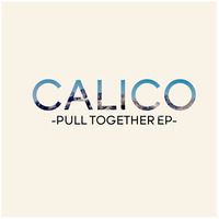 Calico - Pull Together  Released 2013.  Recording, Mixing, Producing, Mastering
