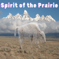 Spirit of the Prairie (Support the Journey with a Download) by TerryLee WHETSTONe