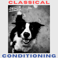 Classical Conditioning by Atomic Bronco