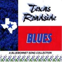 Texas Roadside Blues by Theodore A Henning II