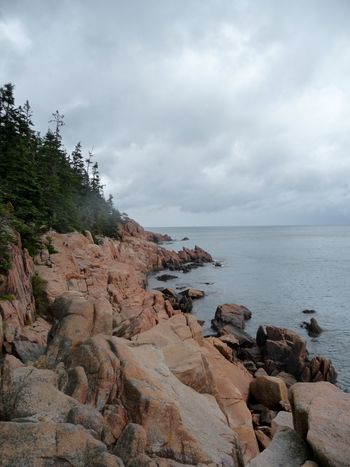 Maine Coast
