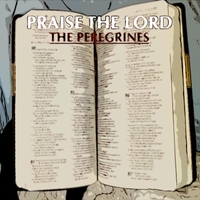 Praise the Lord by The Peregrines