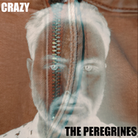 Crazy by The Peregrines