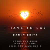 I Have to Say by Danny Britt